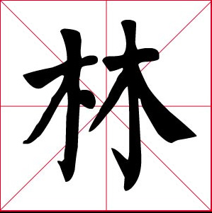 NO. 20: Lin NO. 20: Lin