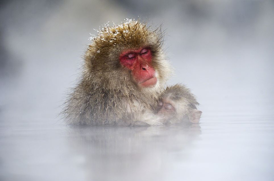 Photos of 2013 Travel Photo Contest